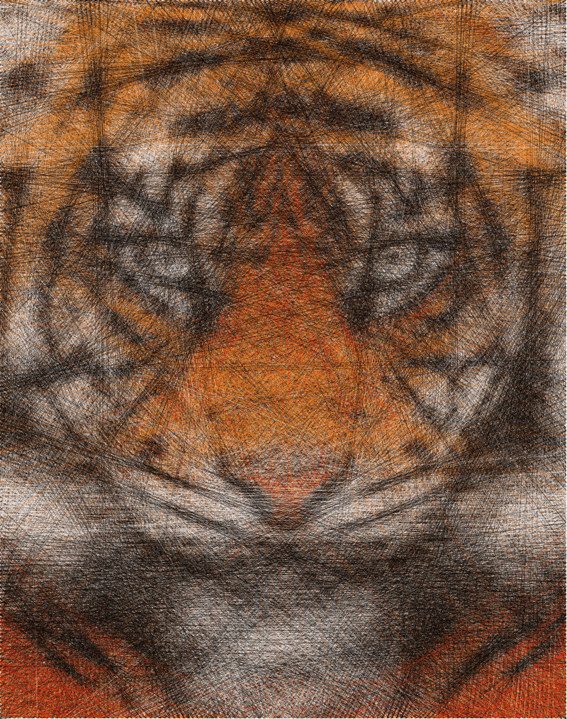 Tiger (color)