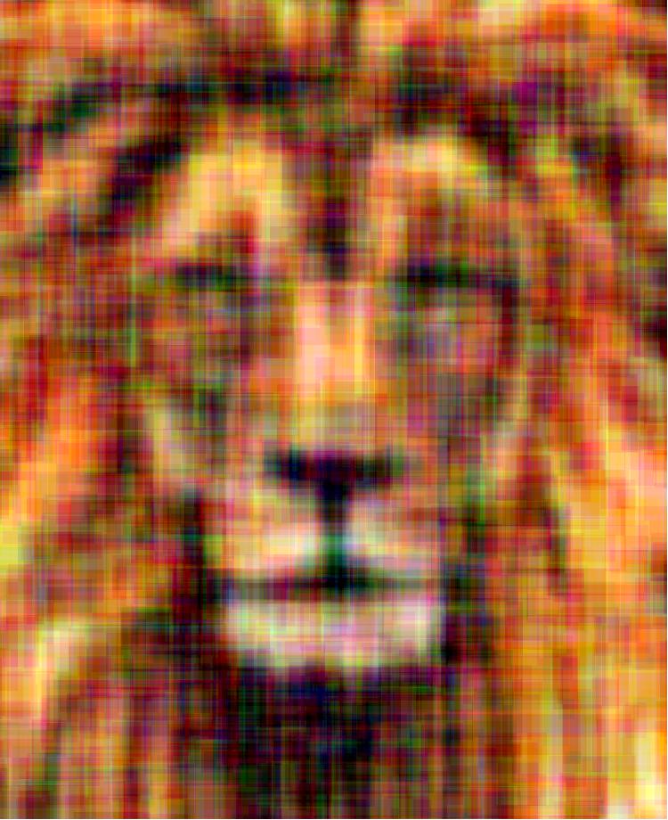 Lion, with rectangles